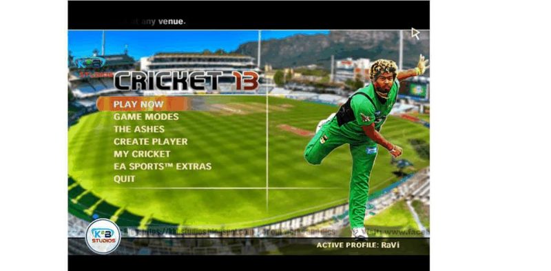 EA Sports Cricket 2013 Free Download