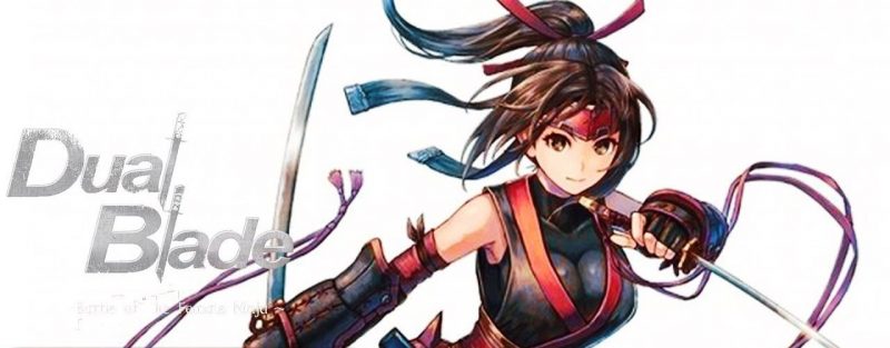 Dual Blade Battle of The Female Ninja PLAZA Free Download